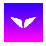 Mindvalley.com logo
