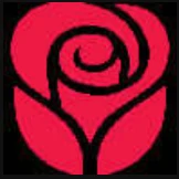 Rose Toy logo