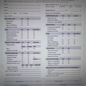review image 1